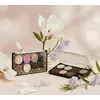 Палетка тіней Quiz Hello Beauty №02, 9,6 г